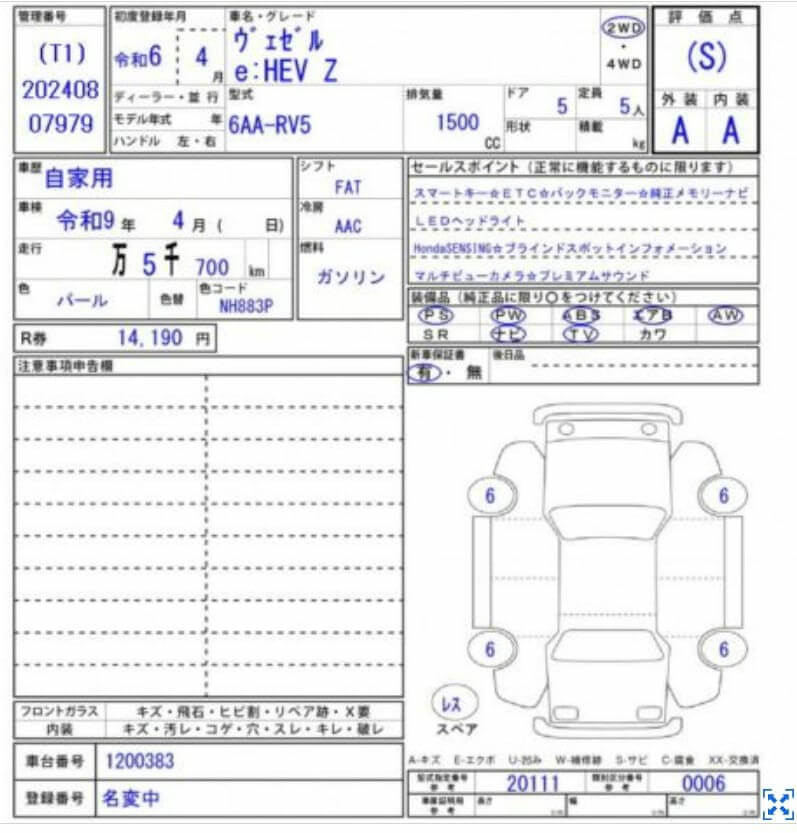 Option Certificate